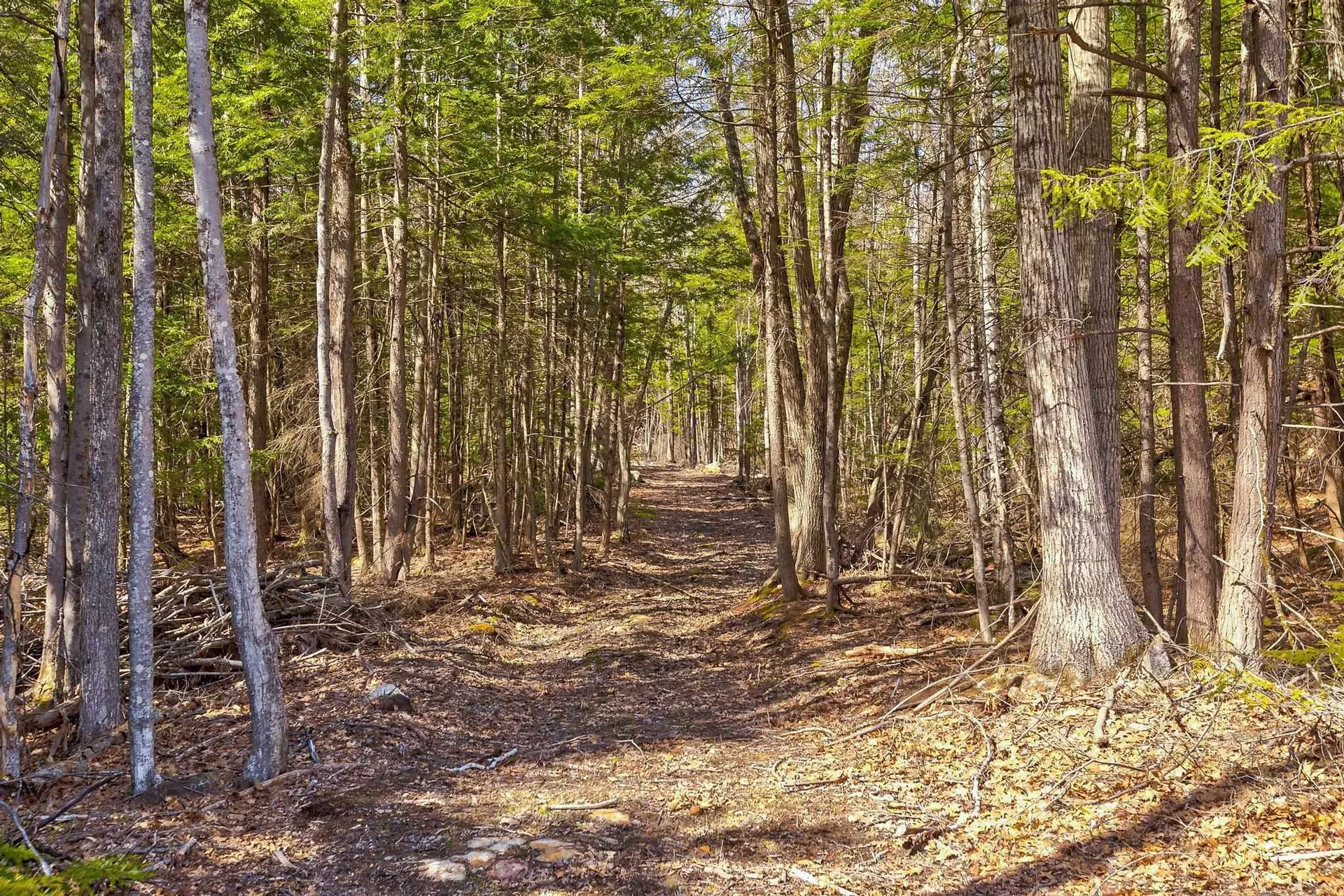 207 Durrell Mountain Road Belmont NH 03220