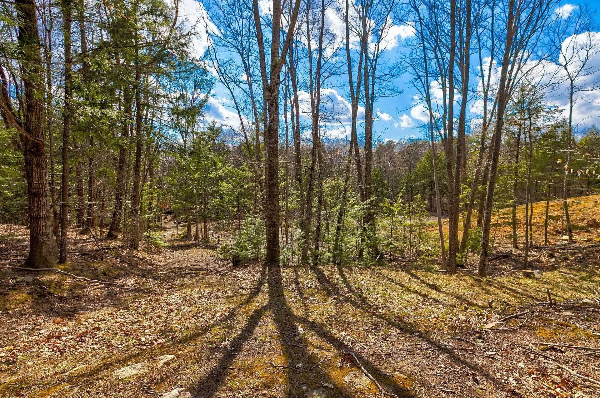 207 Durrell Mountain Road Belmont NH 03220