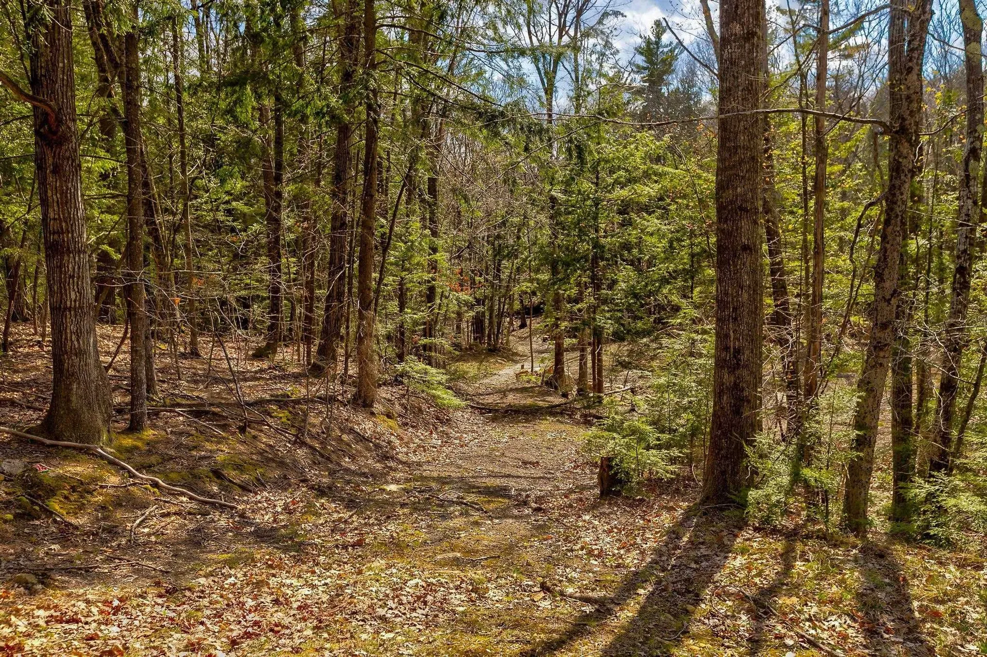 207 Durrell Mountain Road Belmont NH 03220