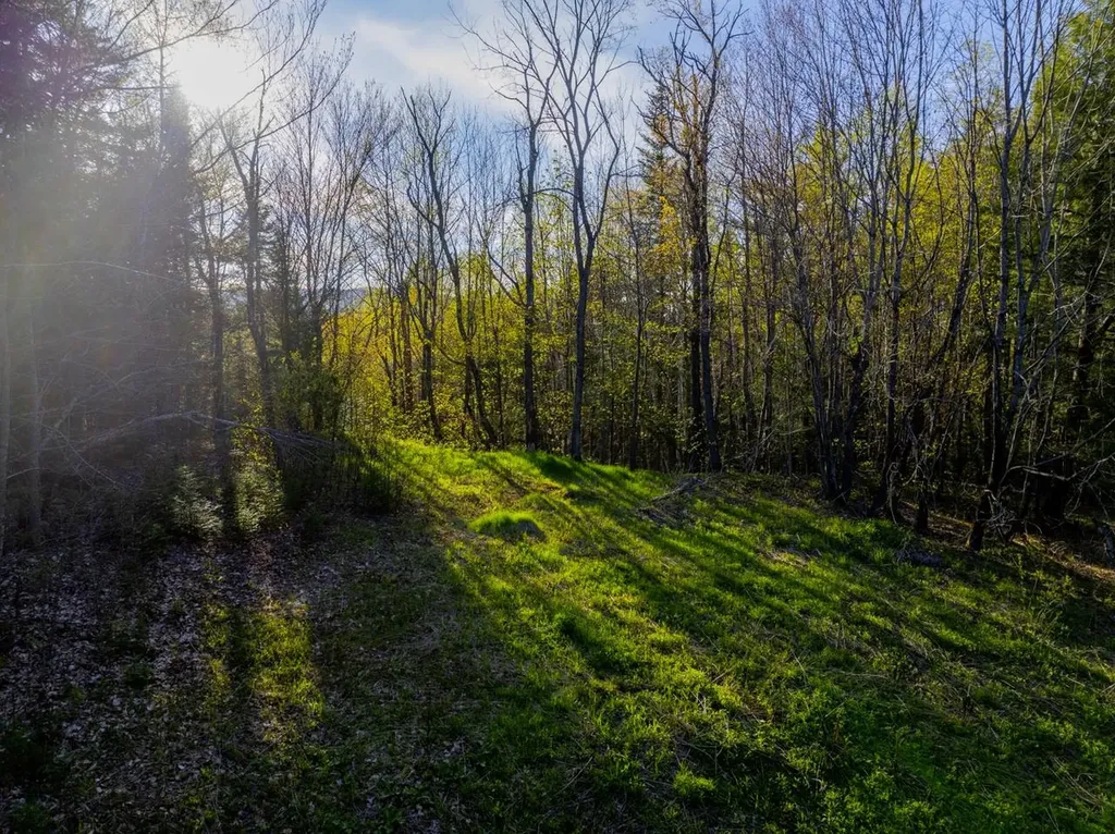 138 Fairview Road Warren VT 05674