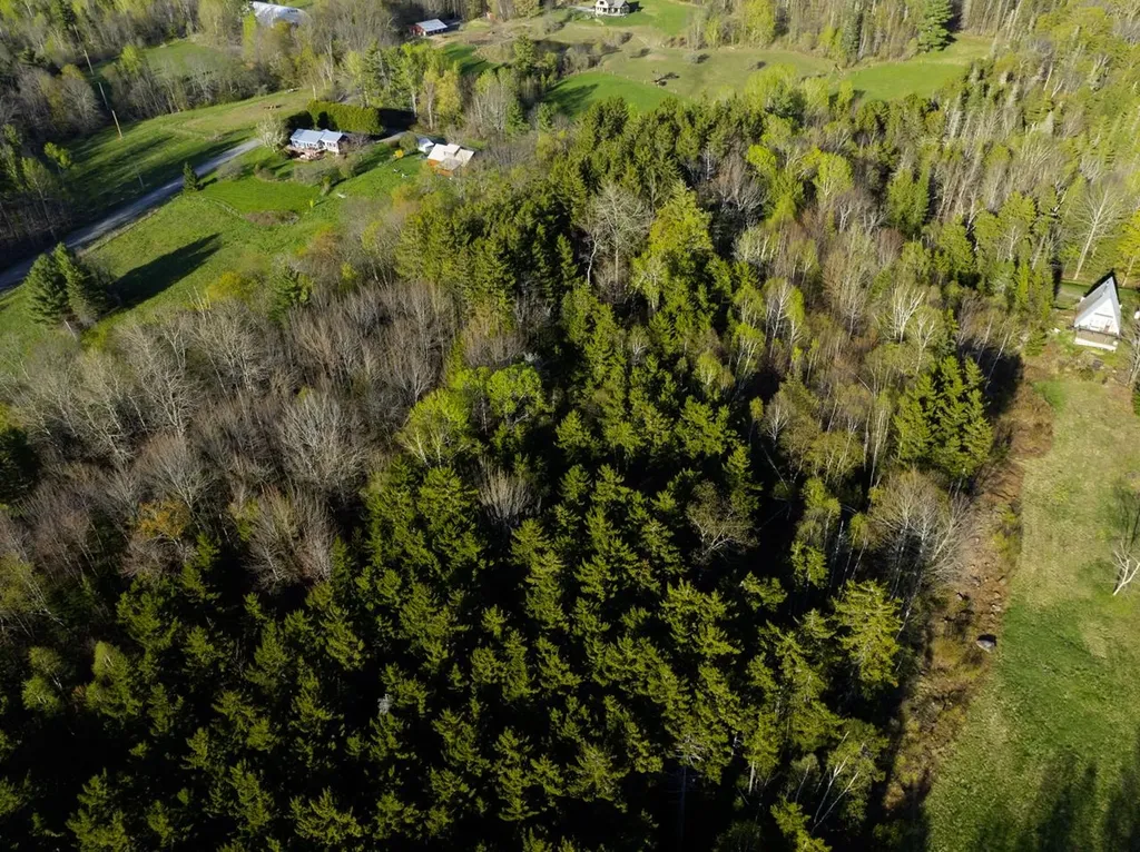 138 Fairview Road Warren VT 05674