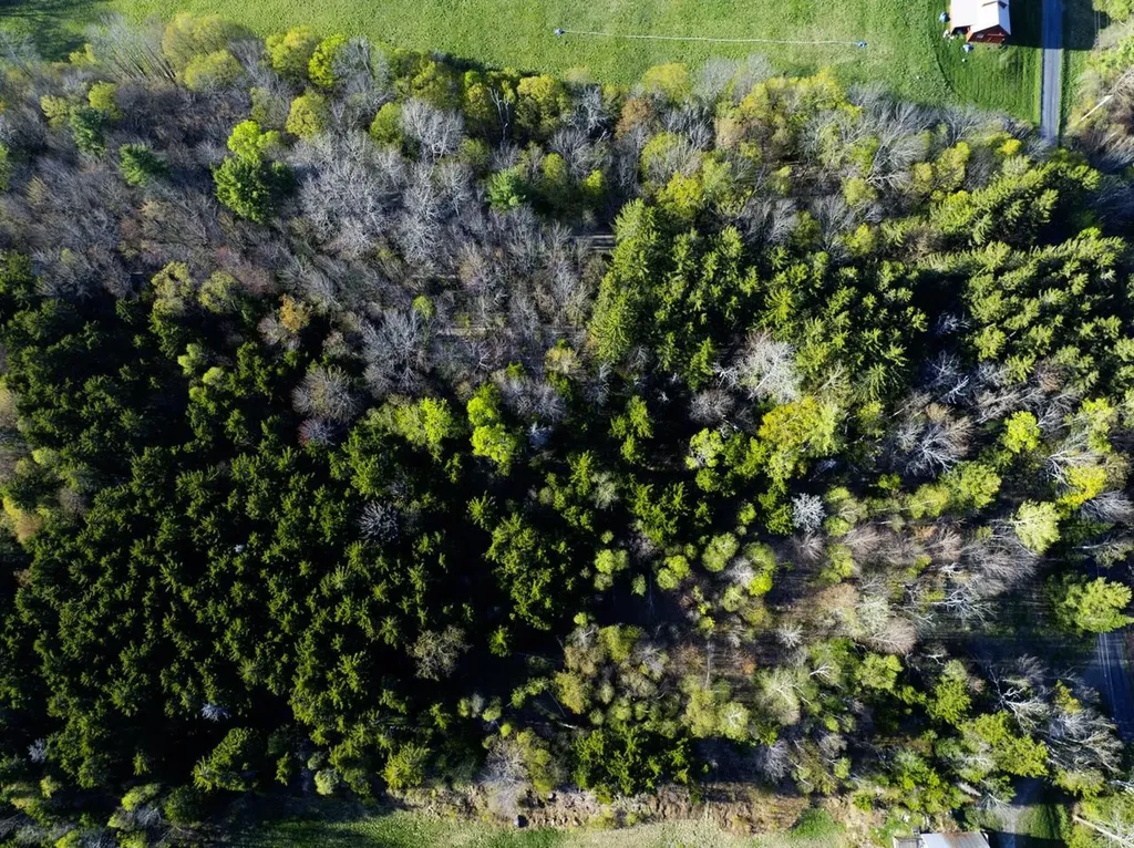 138 Fairview Road Warren VT 05674