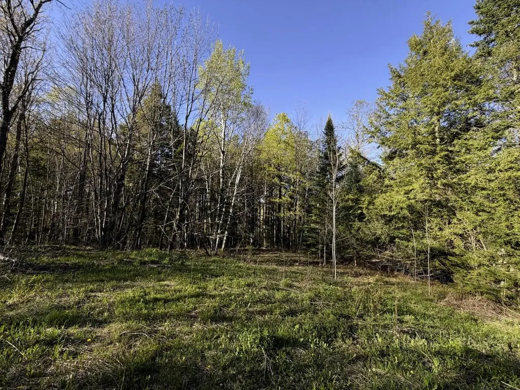 138 Fairview Road Warren VT 05674