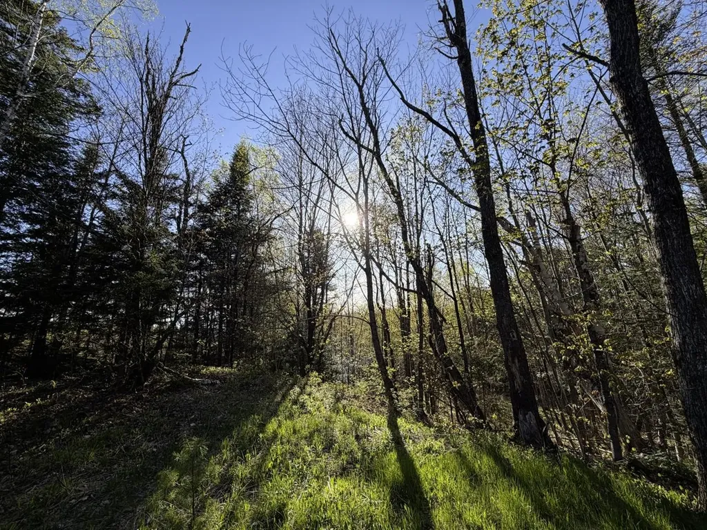 138 Fairview Road Warren VT 05674