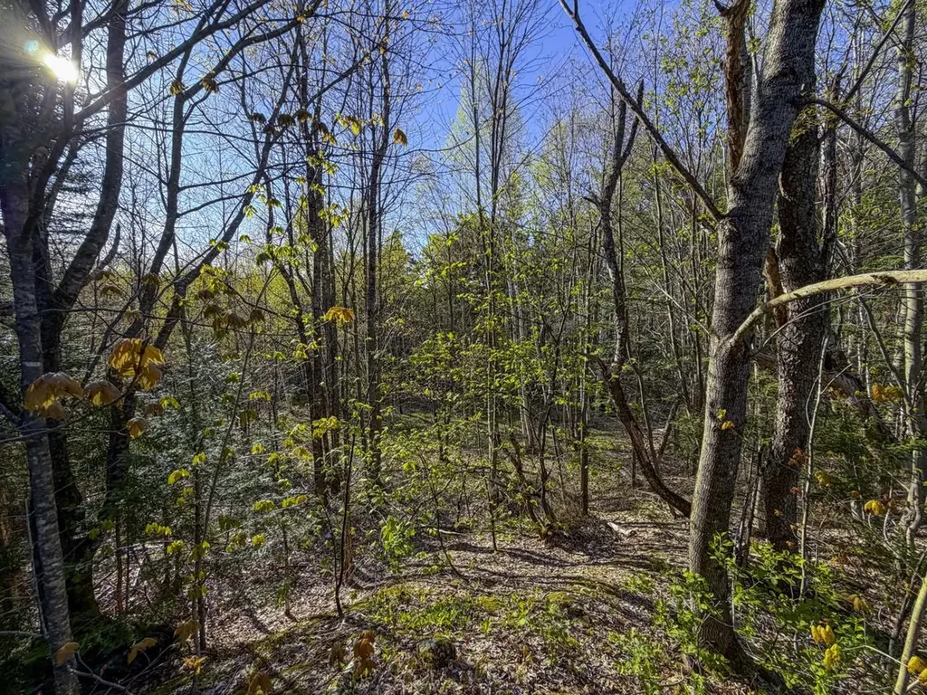 138 Fairview Road Warren VT 05674