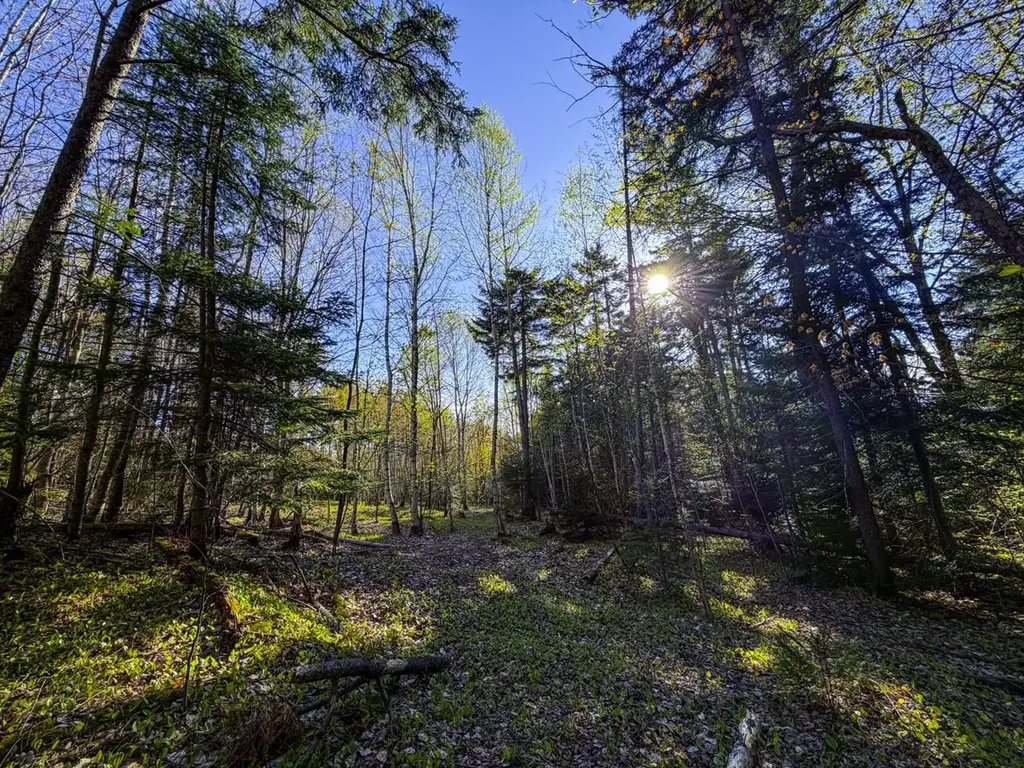 138 Fairview Road Warren VT 05674