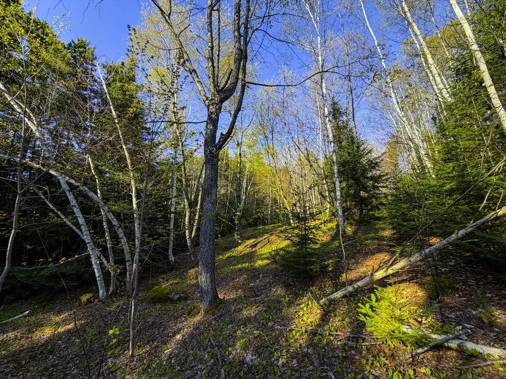 138 Fairview Road Warren VT 05674