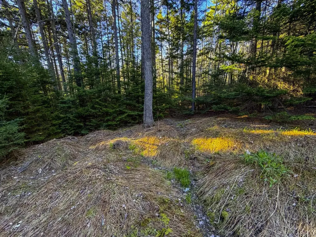 138 Fairview Road Warren VT 05674