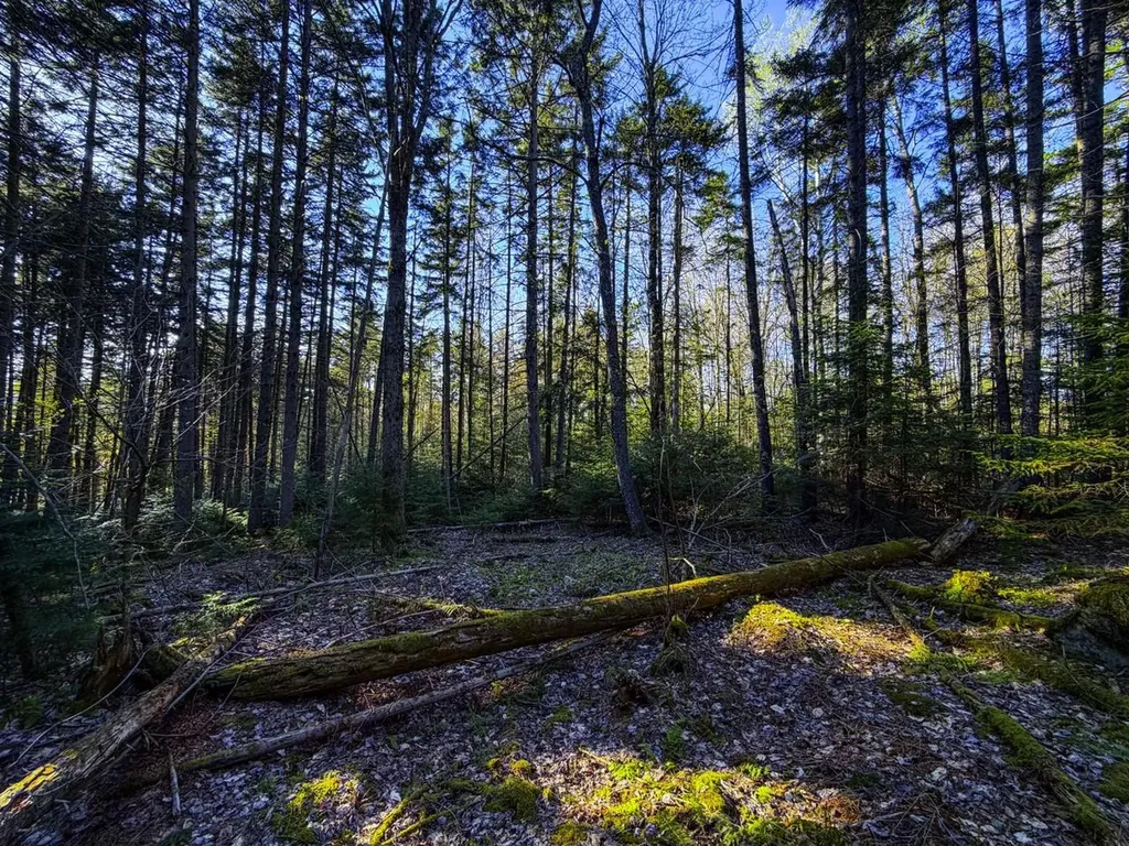 138 Fairview Road Warren VT 05674