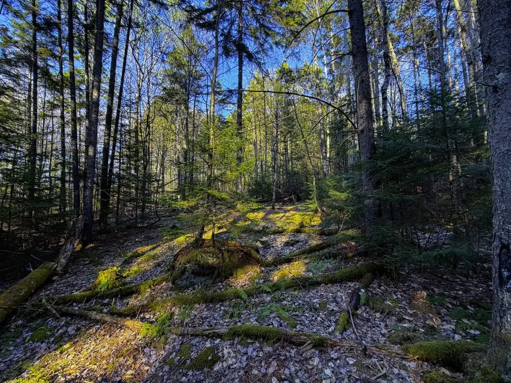 138 Fairview Road Warren VT 05674