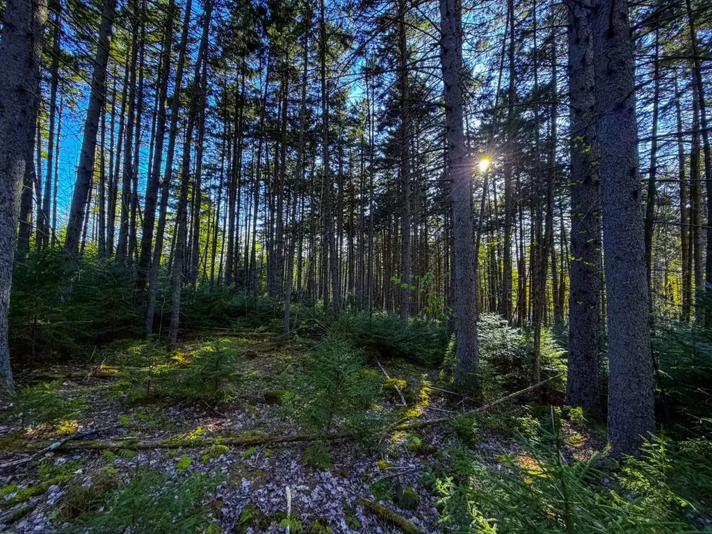 138 Fairview Road Warren VT 05674