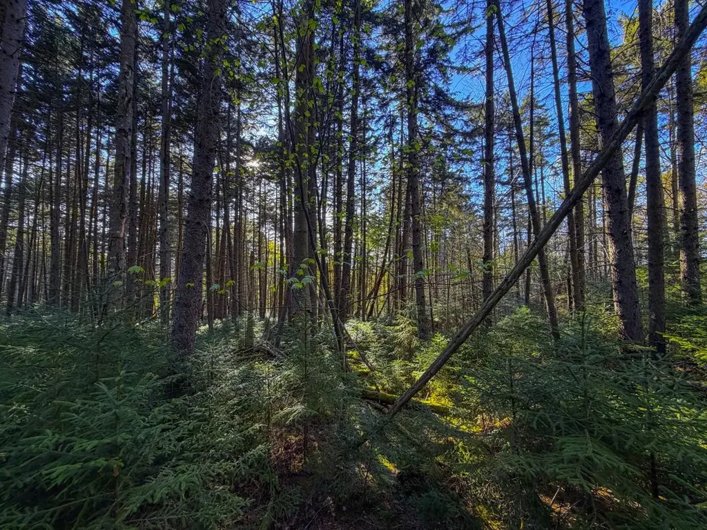 138 Fairview Road Warren VT 05674