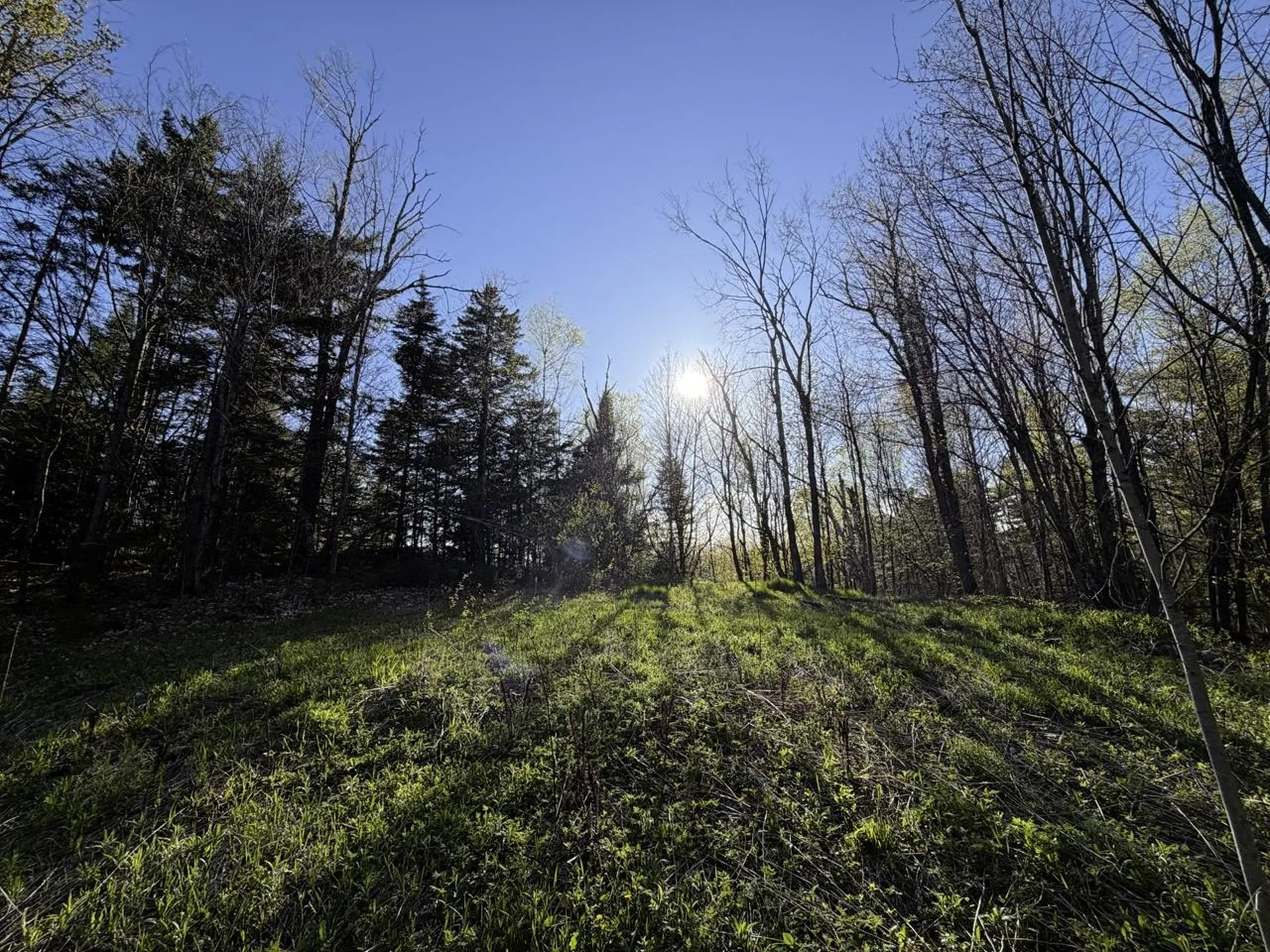 138 Fairview Road Warren VT 05674