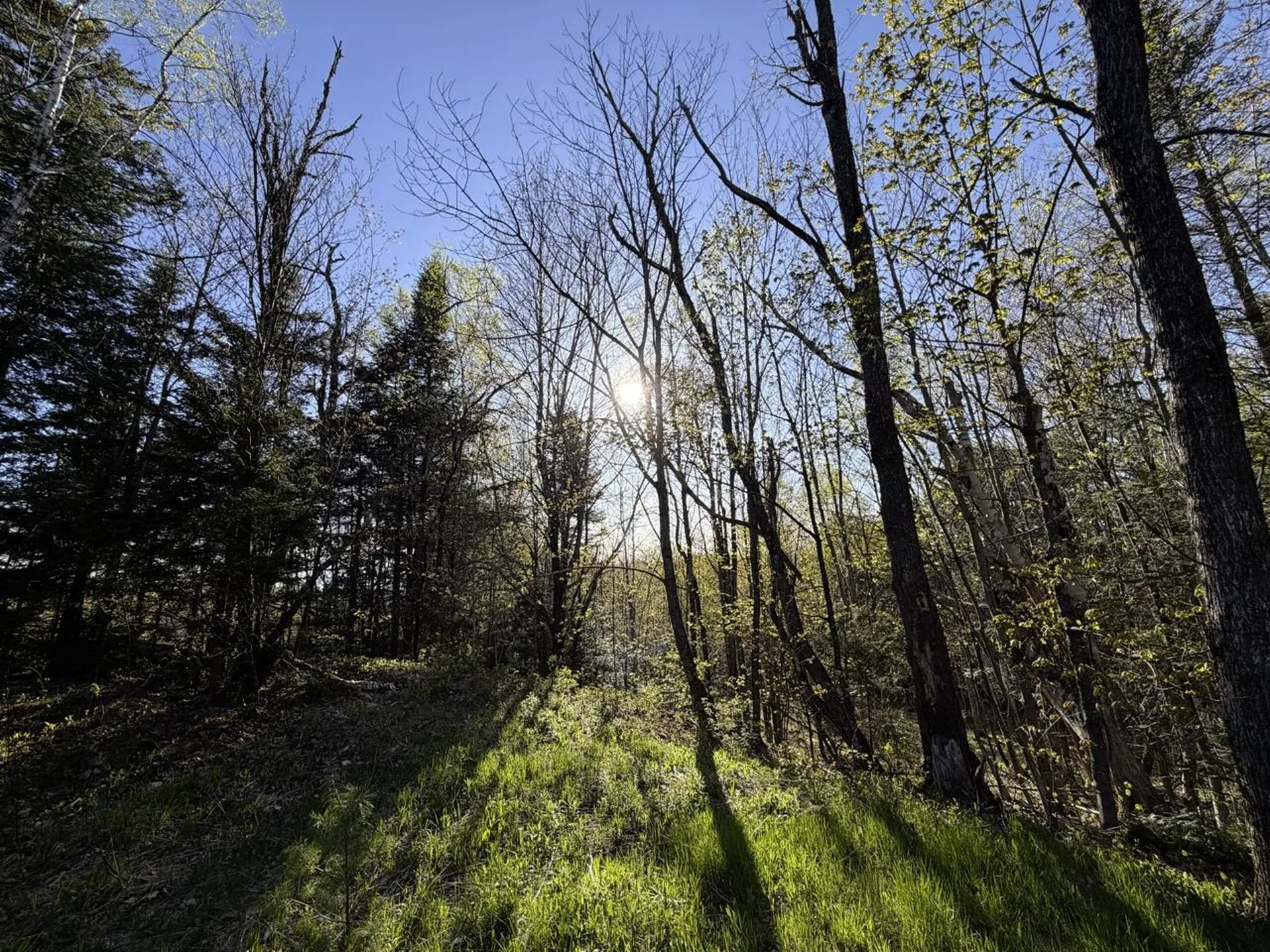 138 Fairview Road Warren VT 05674