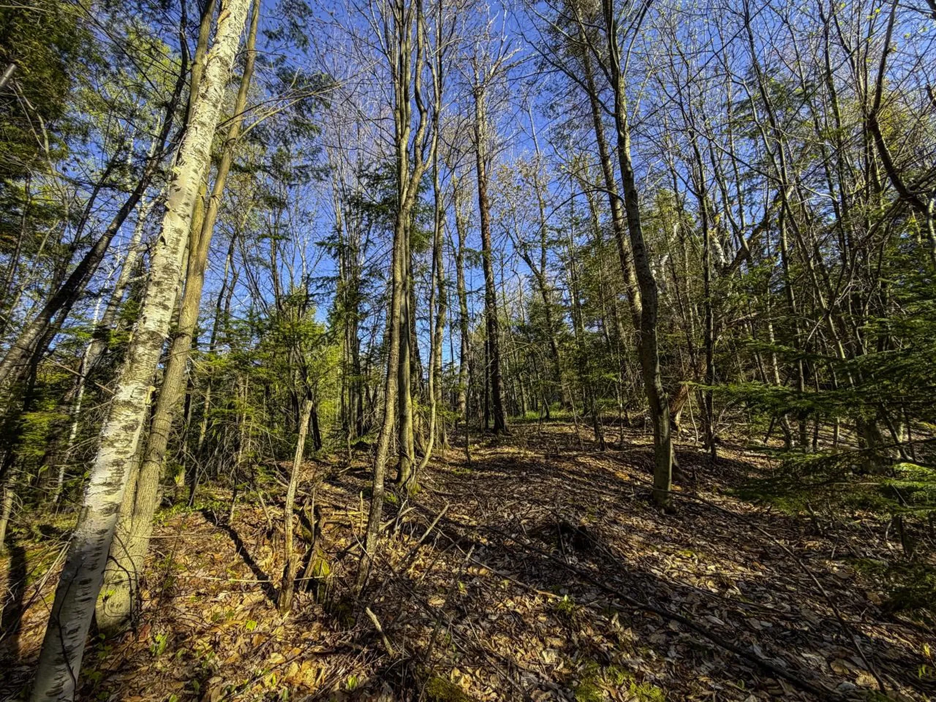138 Fairview Road Warren VT 05674