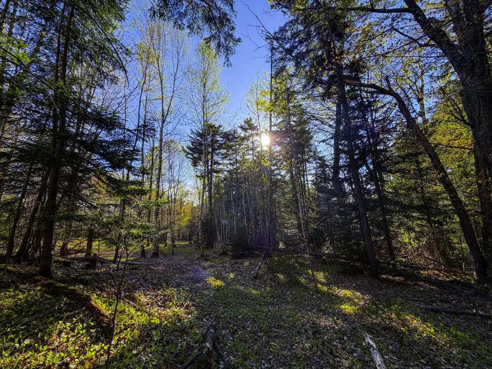 138 Fairview Road Warren VT 05674