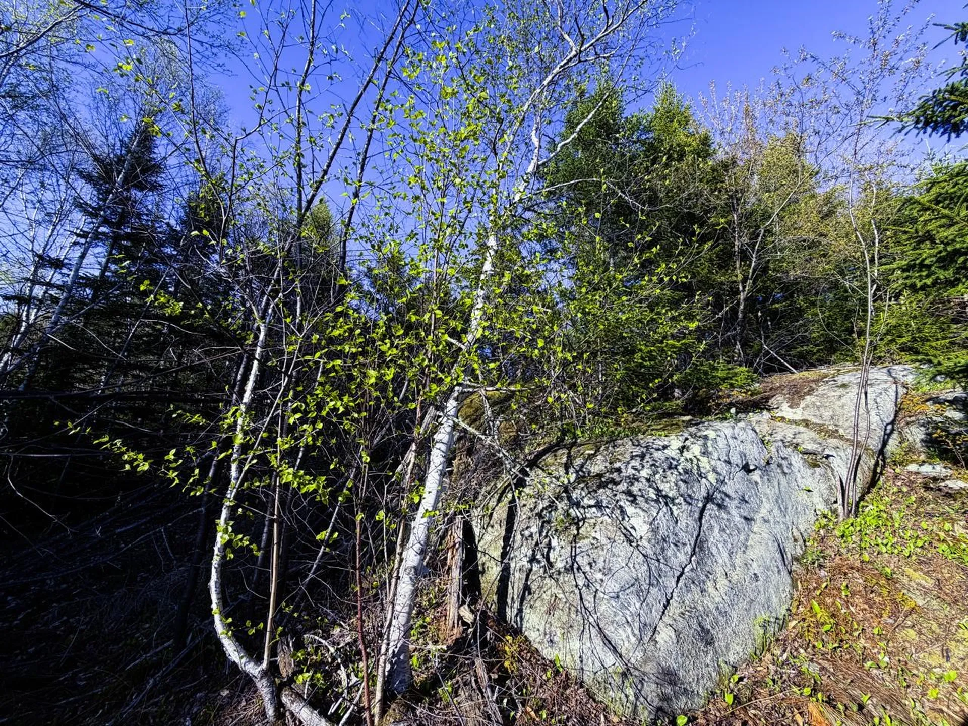138 Fairview Road Warren VT 05674