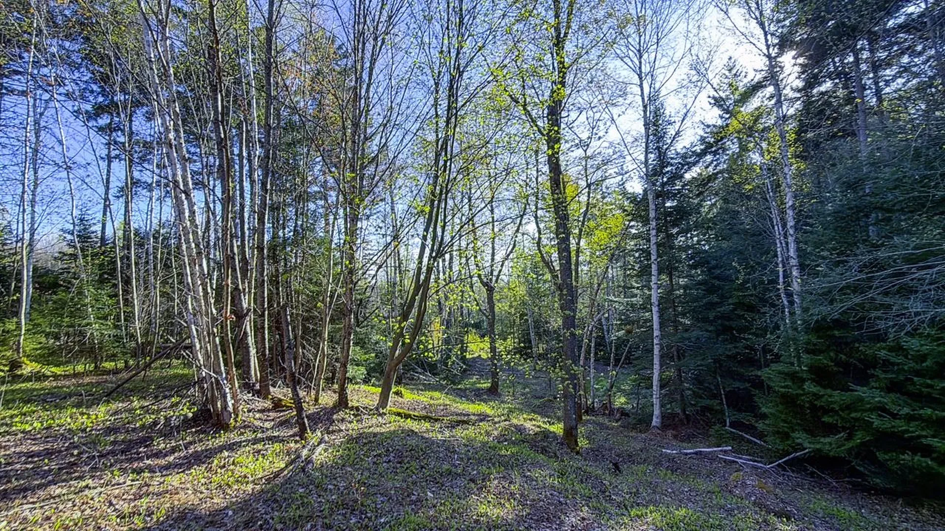 138 Fairview Road Warren VT 05674
