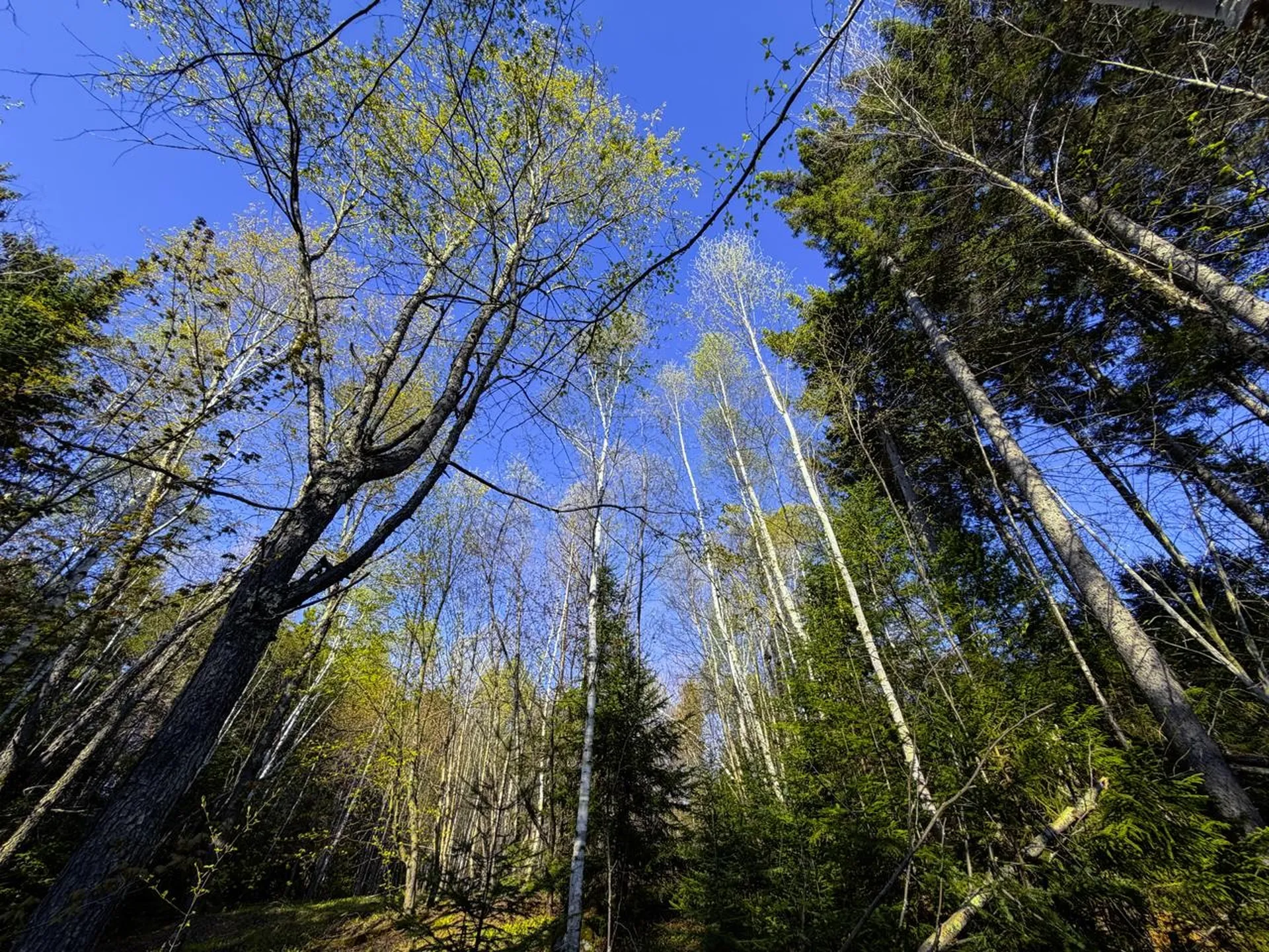 138 Fairview Road Warren VT 05674