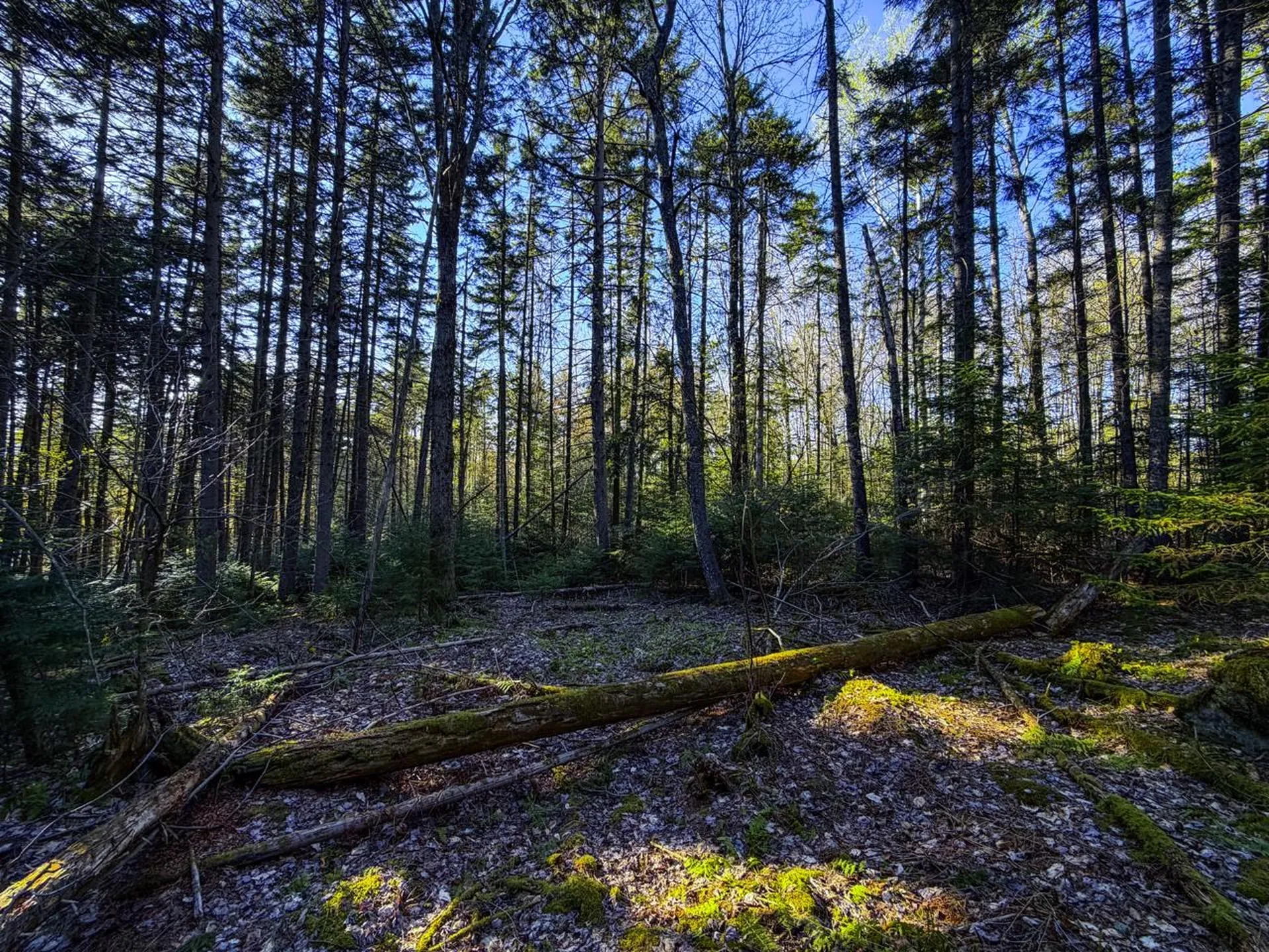 138 Fairview Road Warren VT 05674