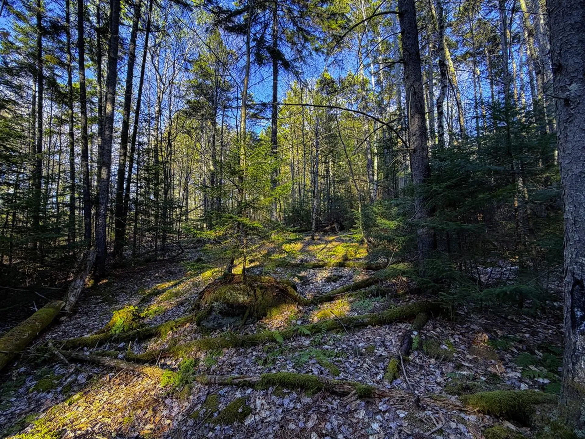 138 Fairview Road Warren VT 05674