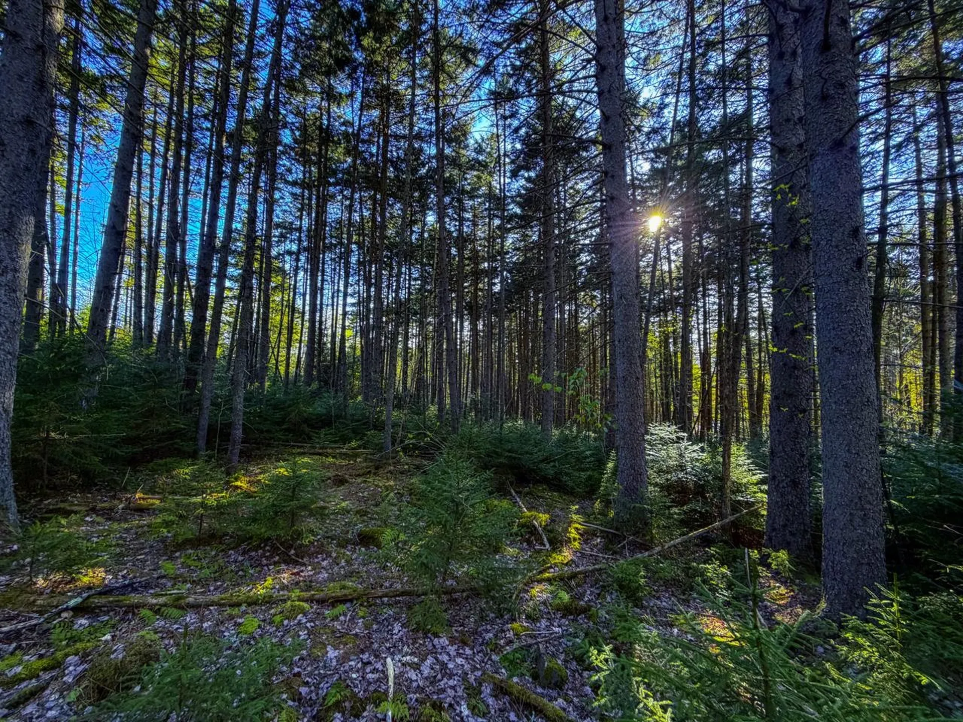 138 Fairview Road Warren VT 05674