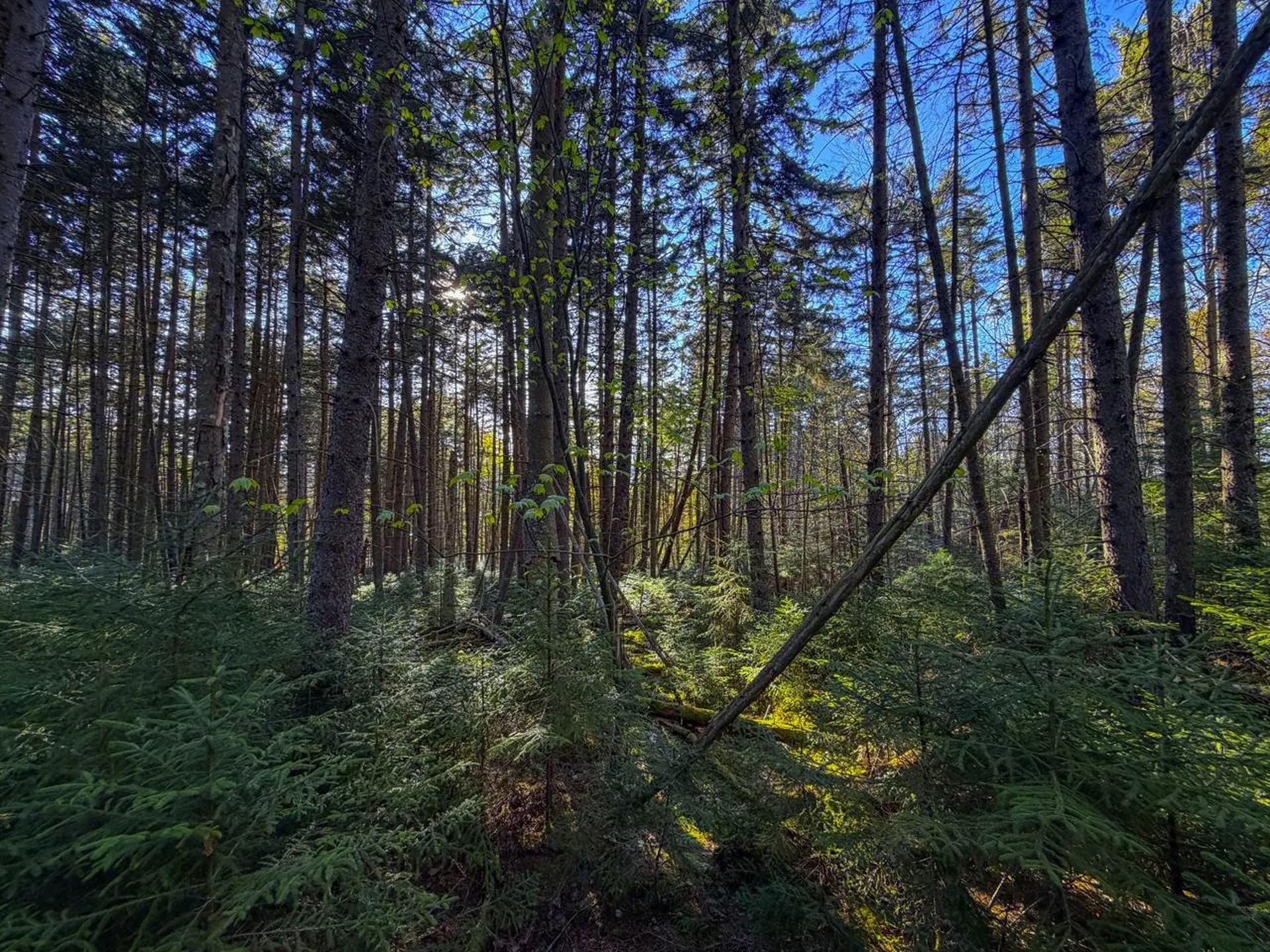 138 Fairview Road Warren VT 05674