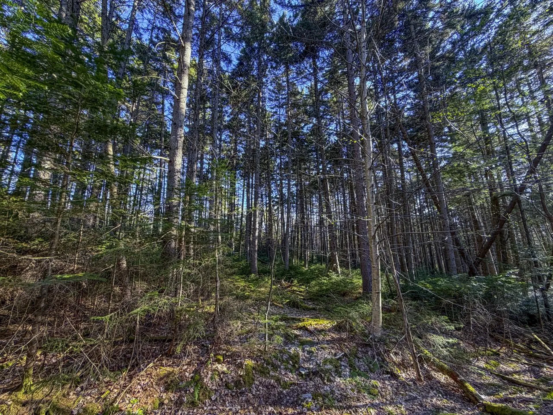 138 Fairview Road Warren VT 05674