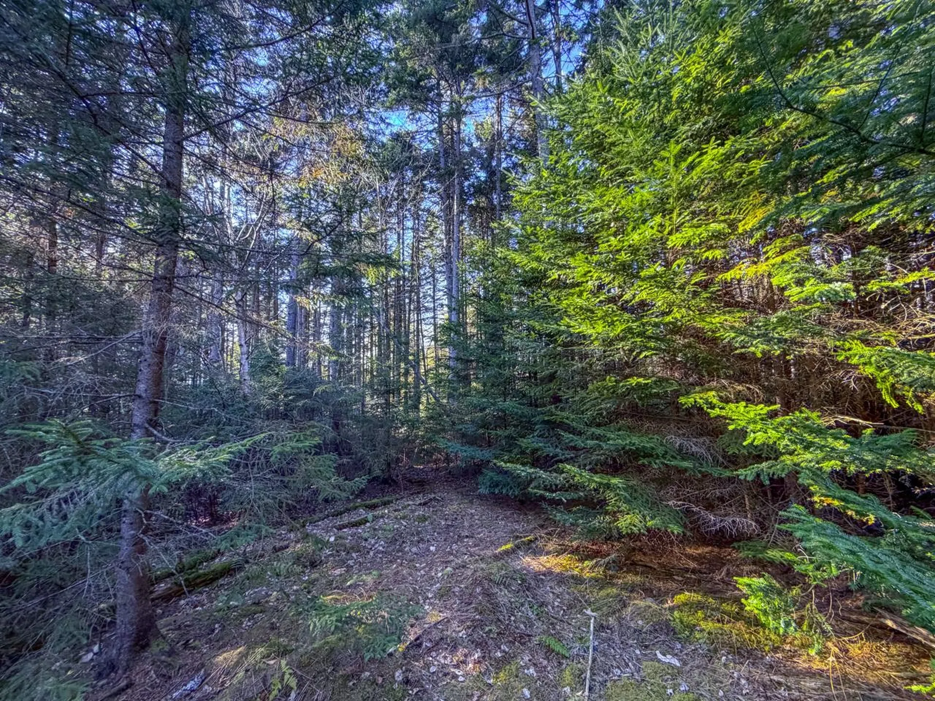 138 Fairview Road Warren VT 05674