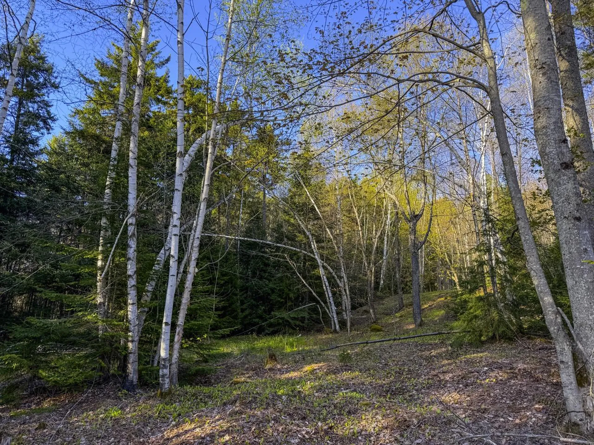 138 Fairview Road Warren VT 05674