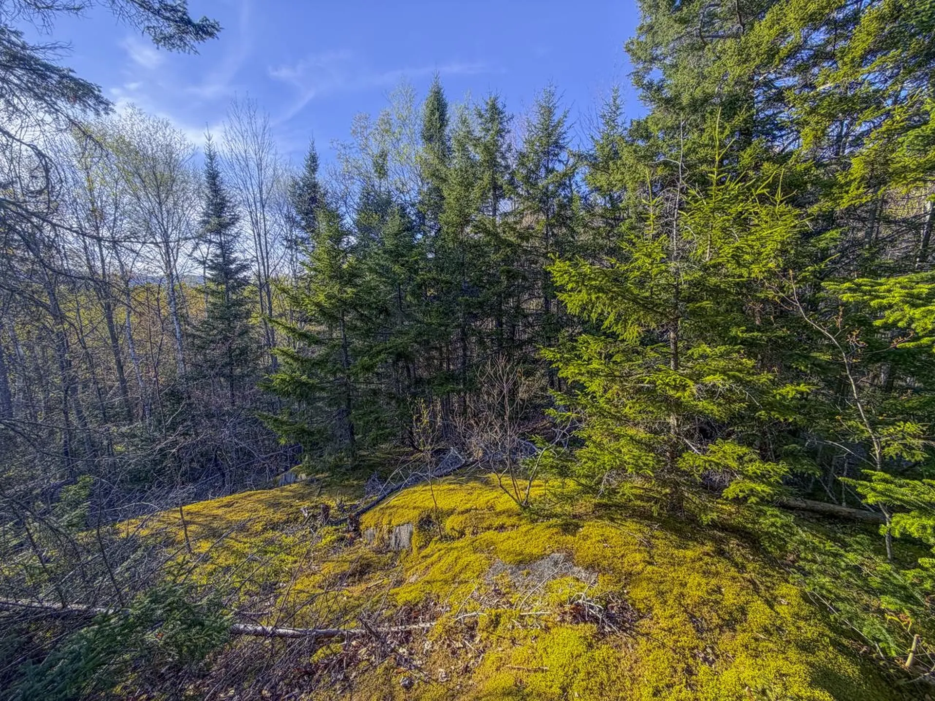 138 Fairview Road Warren VT 05674