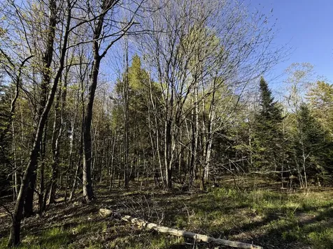 138 Fairview Road Warren VT 05674