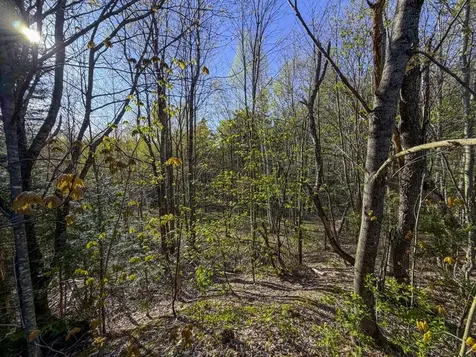 138 Fairview Road Warren VT 05674