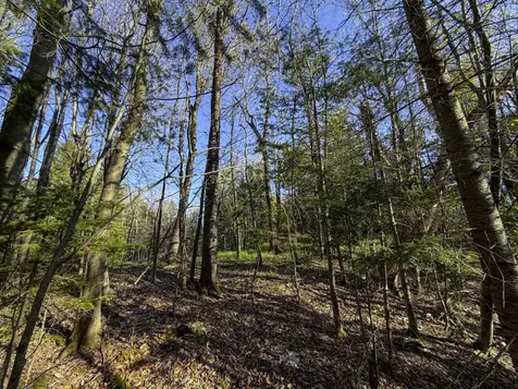 138 Fairview Road Warren VT 05674