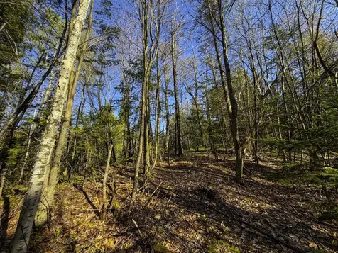 138 Fairview Road Warren VT 05674