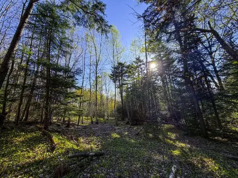138 Fairview Road Warren VT 05674