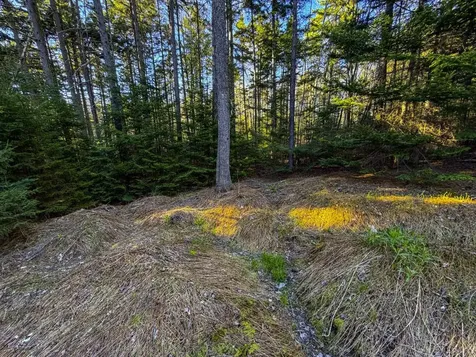 138 Fairview Road Warren VT 05674