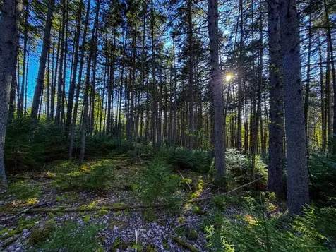 138 Fairview Road Warren VT 05674