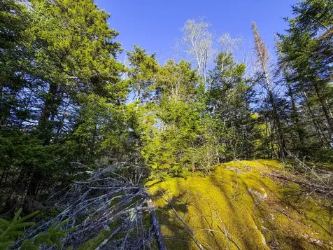 138 Fairview Road Warren VT 05674