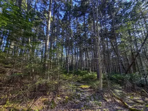 138 Fairview Road Warren VT 05674