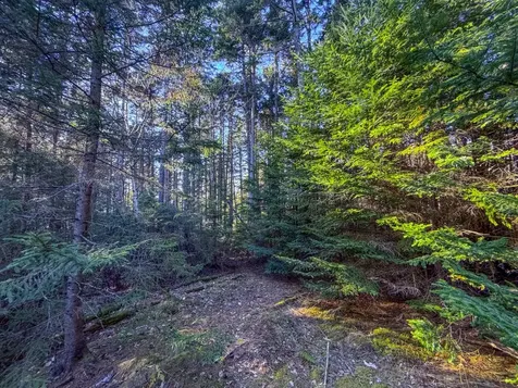 138 Fairview Road Warren VT 05674