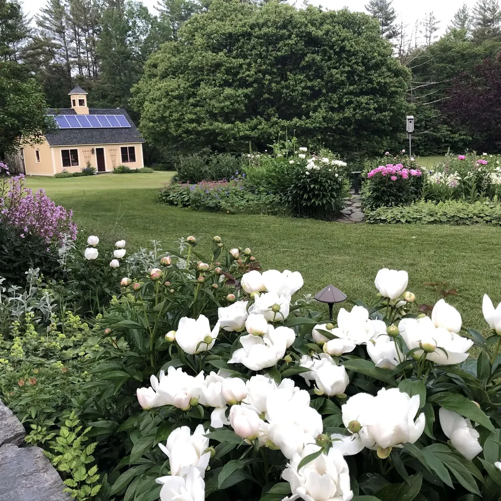 719 Walker Hill Road Barnard VT 05031