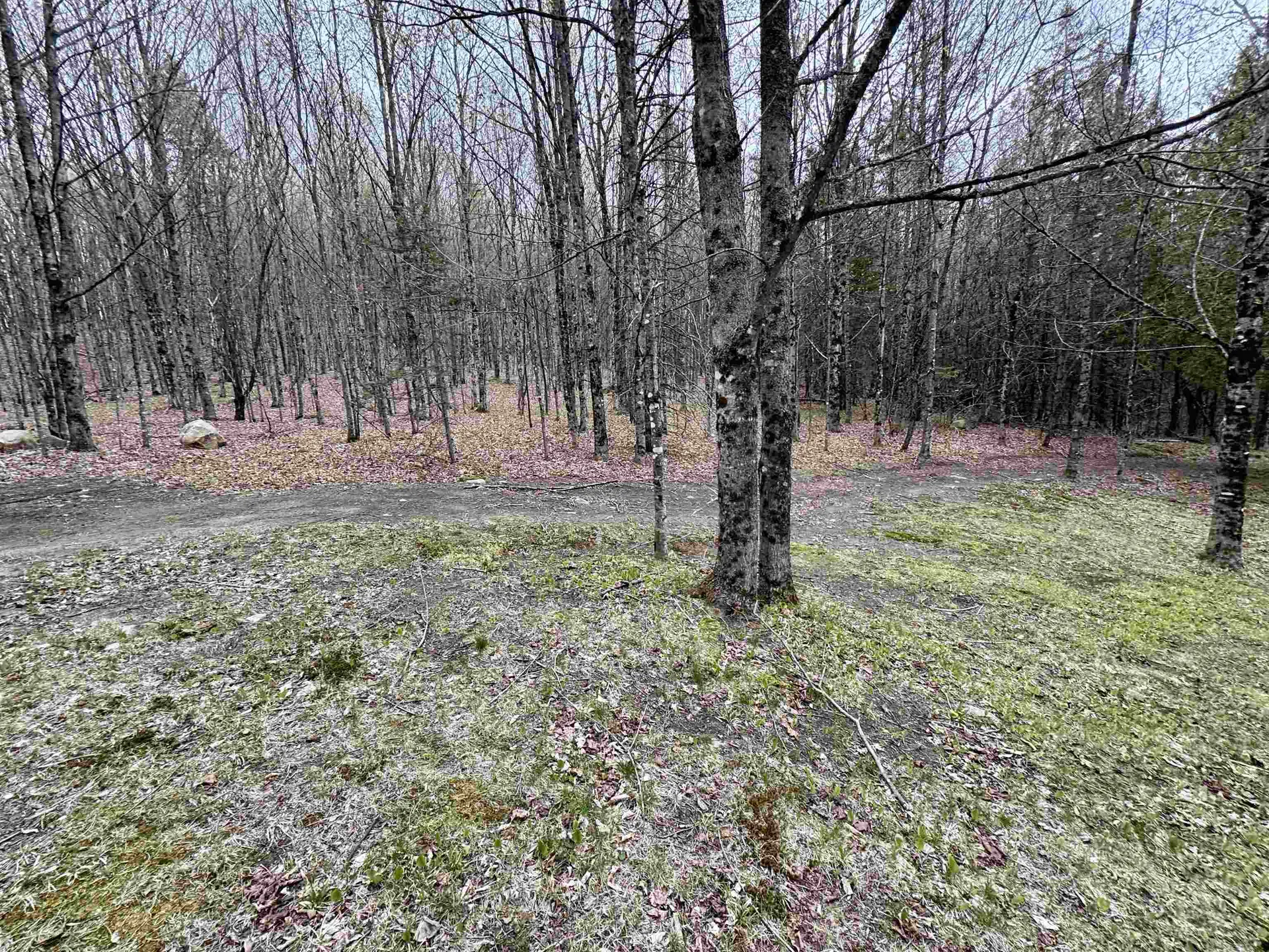 59 Shady Brook Lane Orange VT 05641