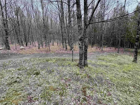 59 Shady Brook Lane Orange VT 05641