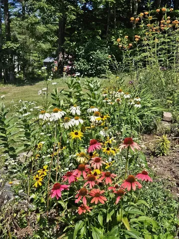 1420 North Street East Montpelier VT 05602