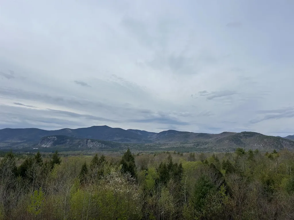 D37 Eagle Ridge Road Bartlett NH 03812