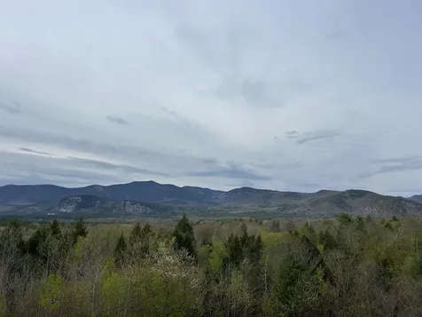D37 Eagle Ridge Road Bartlett NH 03812