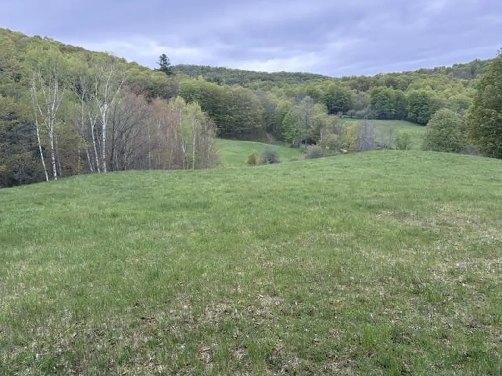 199 Arthur Morgan Road Woodstock VT 05091