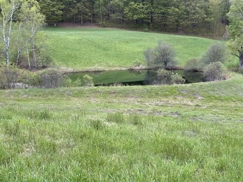 199 Arthur Morgan Road Woodstock VT 05091