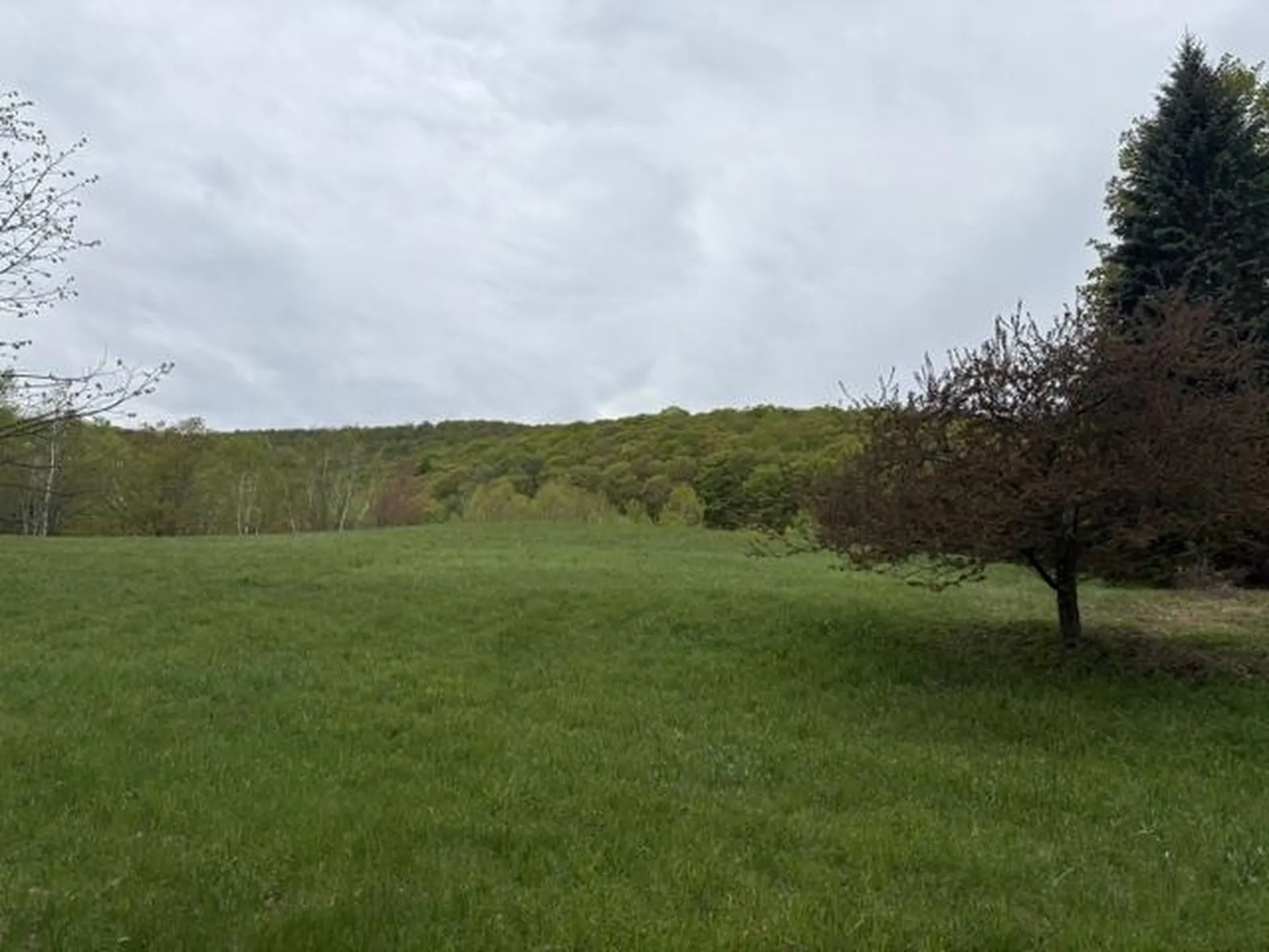 199 Arthur Morgan Road Woodstock VT 05091